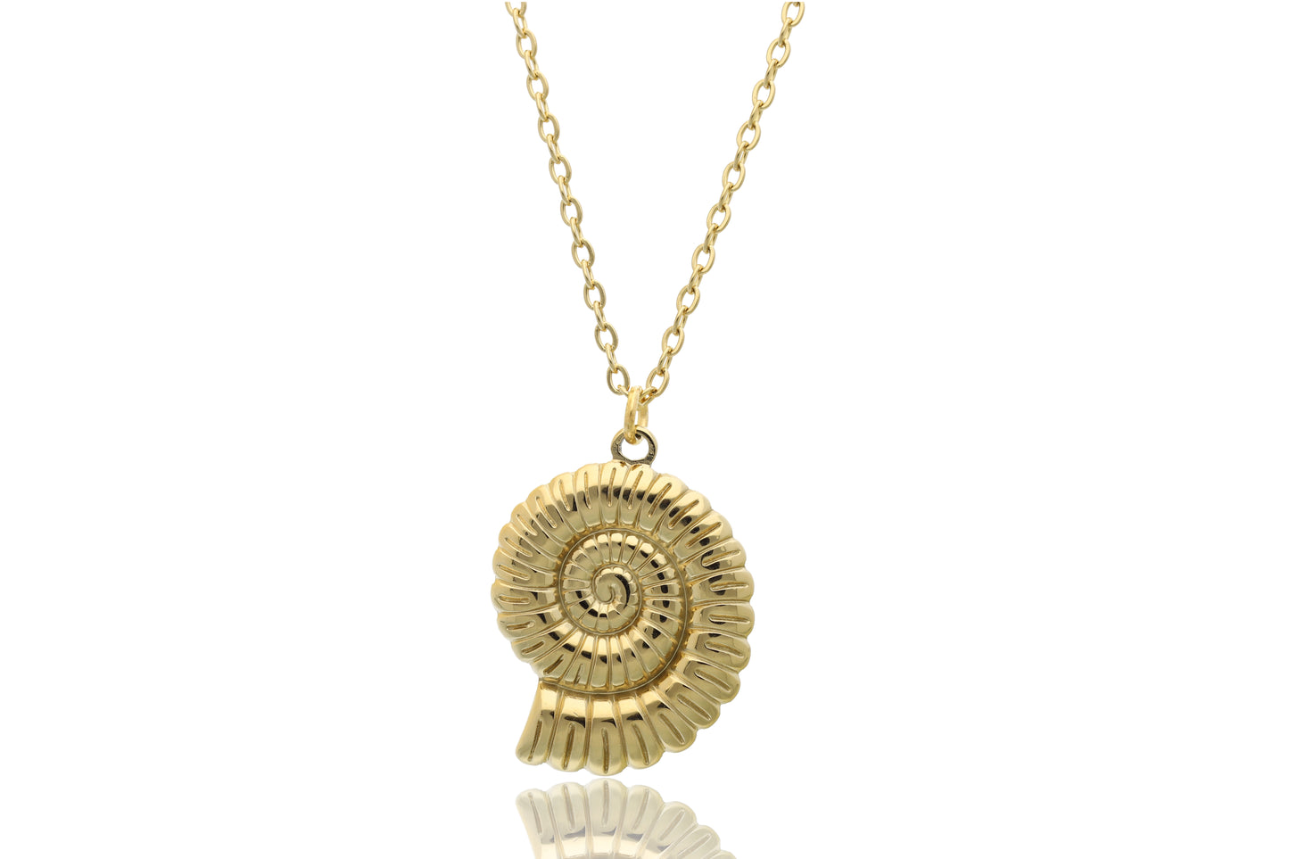 Collar Amonite - mui mia