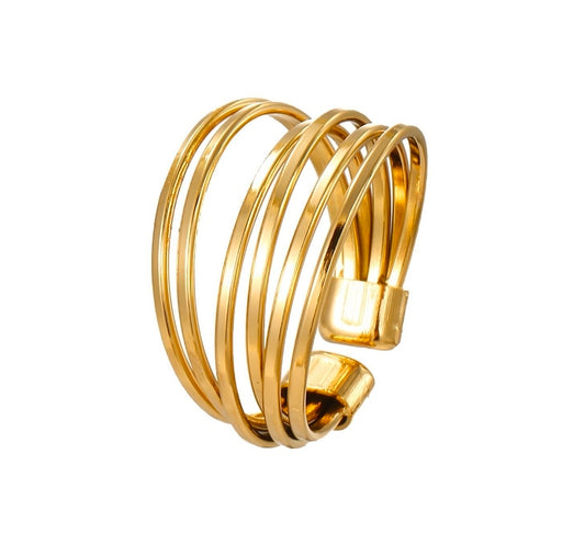 Anillo Siani